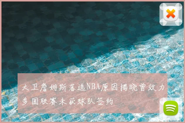 大卫詹姆斯落选NBA原因揭晓曾效力多国联赛未获球队签约