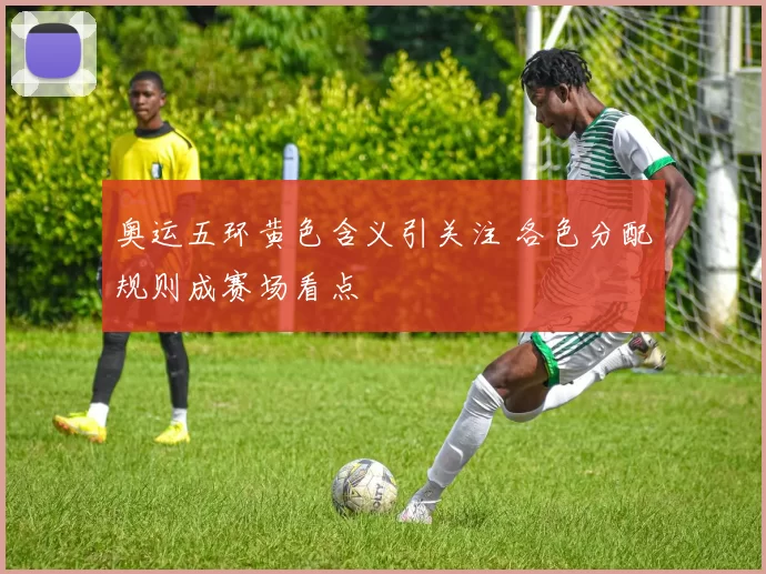 奥运五环黄色含义引关注 各色分配规则成赛场看点