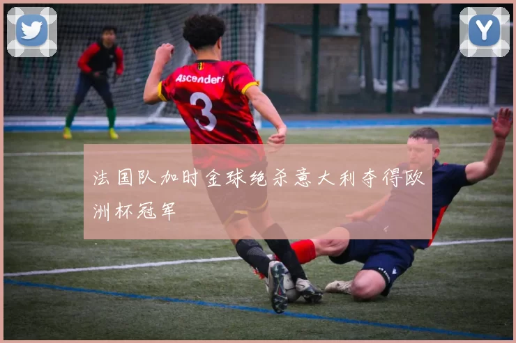 法国队加时金球绝杀意大利夺得欧洲杯冠军