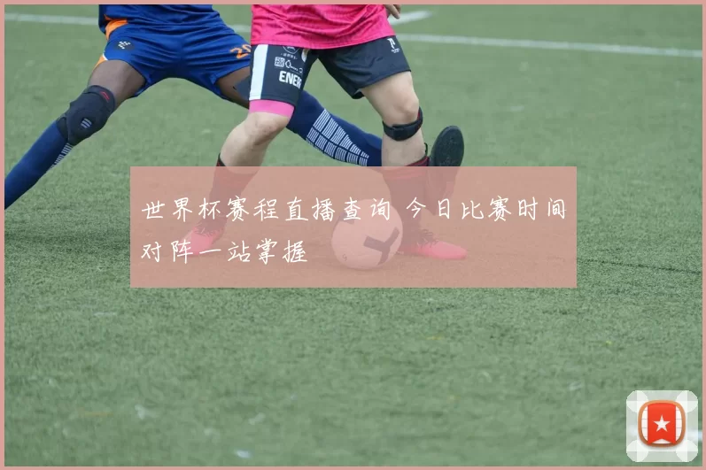 世界杯赛程直播查询 今日比赛时间对阵一站掌握